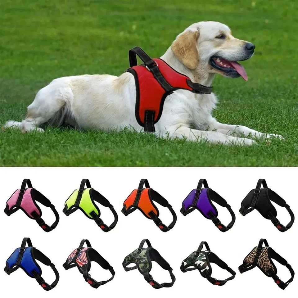 Most Comfortable No Pull Dog Harness suppliers