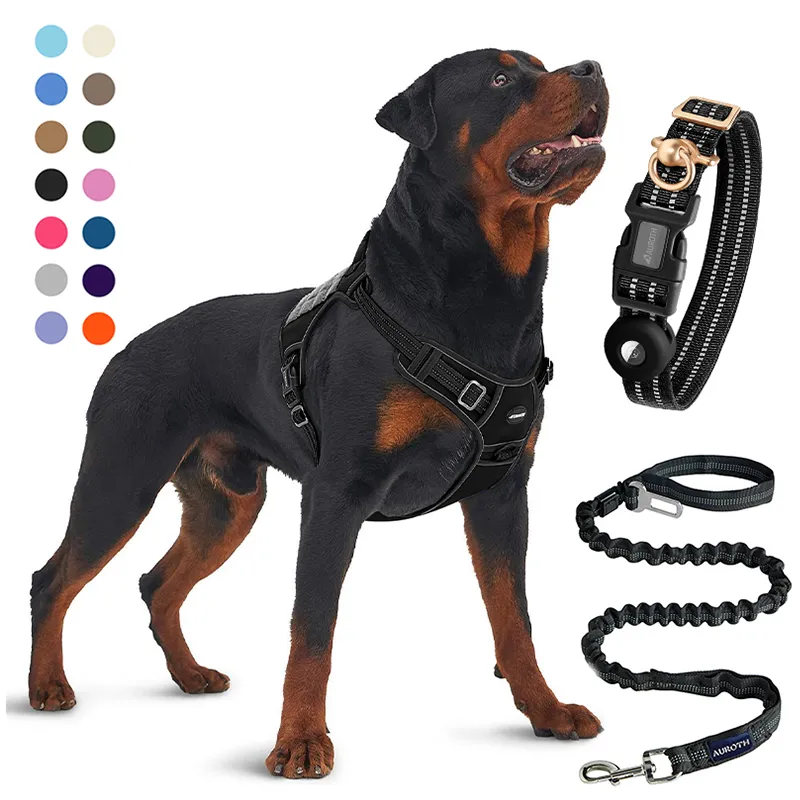 Set Hewan Peliharaan Lengkap dengan Harness, Leash dan Collar