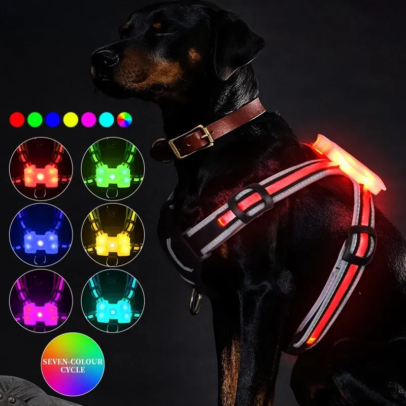 Tali Kekang Anjing Menyala Dapat Diisi Ulang