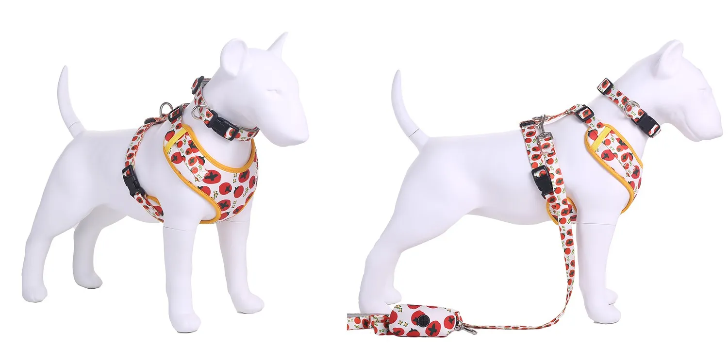 product-1500-750 product-1500-750