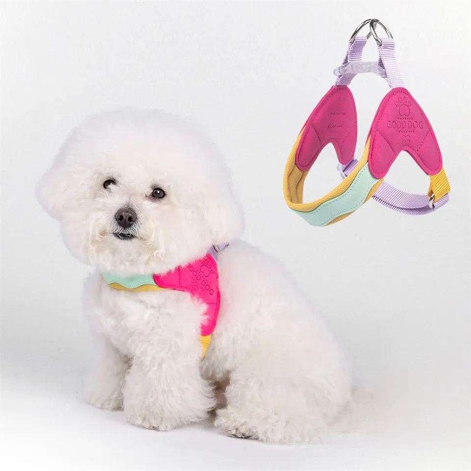 Tali Kekang Anak Anjing Untuk Anjing Kecil